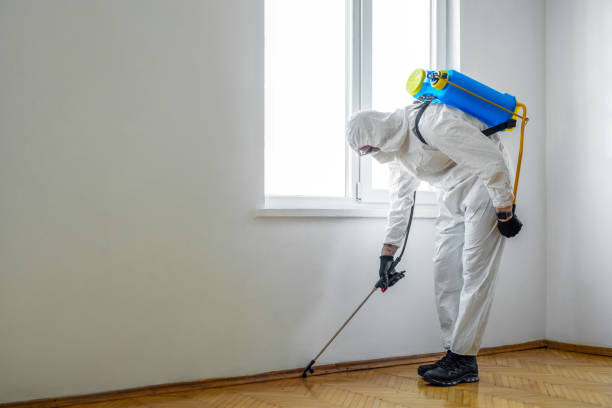 Wasp Removal Services in Vermillion, SD