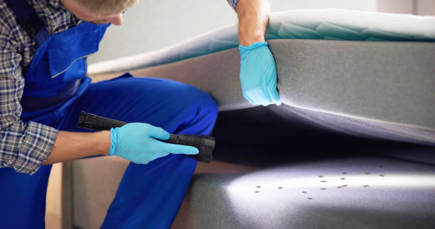 Best Wasp Removal Services  in Vermillion, SD