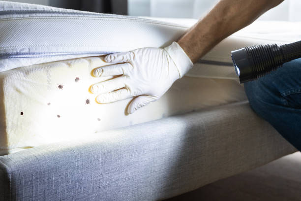 Best Pest Inspection Near Me  in Vermillion, SD